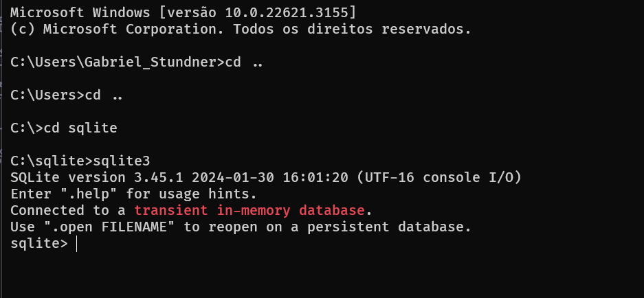 Acessando SQLite